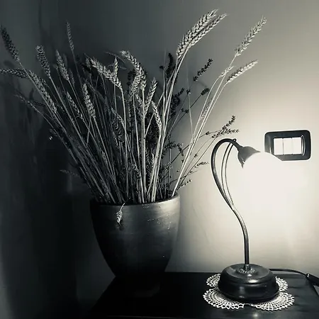 Ca 'd Gnese Venkovský dům Castagnole delle Lanze